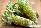 Pravé japonské wasabi (Wasabia japonica)