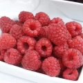 Stáleplodící balkonový maliník Sweet Sunshine (Rubus ´Sweet Sunshine´)
